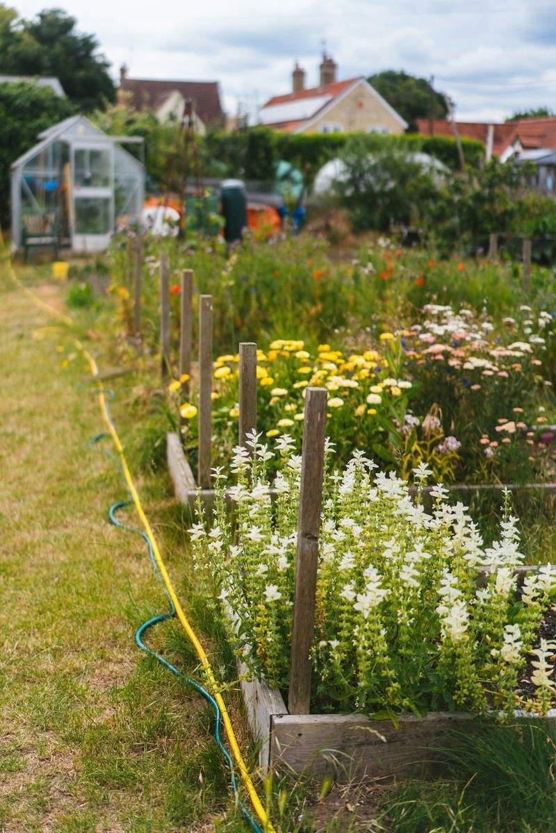 Créer un massif fleuri durable avec peu d’entretien