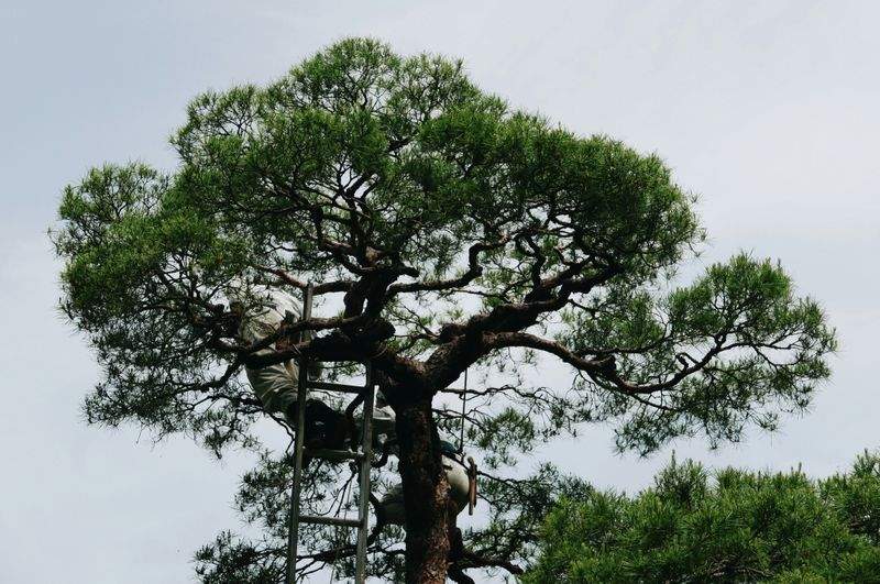 Jardin Harmonie France 8